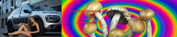 амф Белокуриха