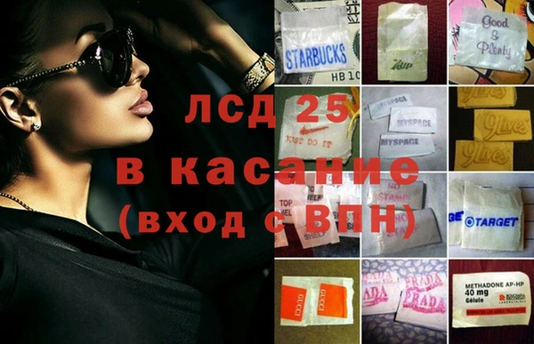 ГАЛЛЮЦИНОГЕННЫЕ ГРИБЫ Белоозёрский