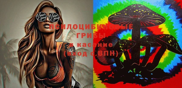 ГАЛЛЮЦИНОГЕННЫЕ ГРИБЫ Белоозёрский