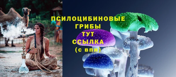 амф Белокуриха