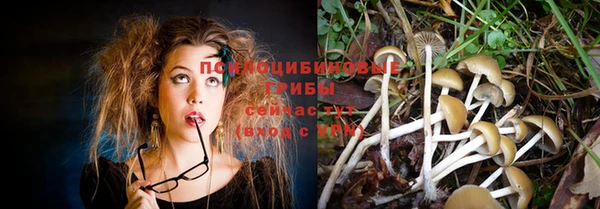 ГАЛЛЮЦИНОГЕННЫЕ ГРИБЫ Белоозёрский
