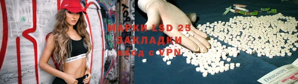 ГАЛЛЮЦИНОГЕННЫЕ ГРИБЫ Белоозёрский