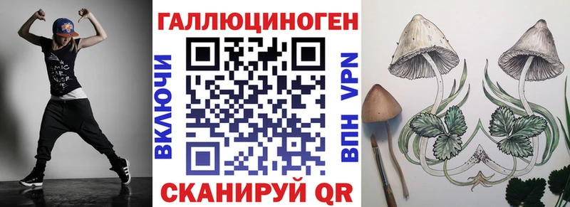 Галлюциногенные грибы Psilocybe  Короча 